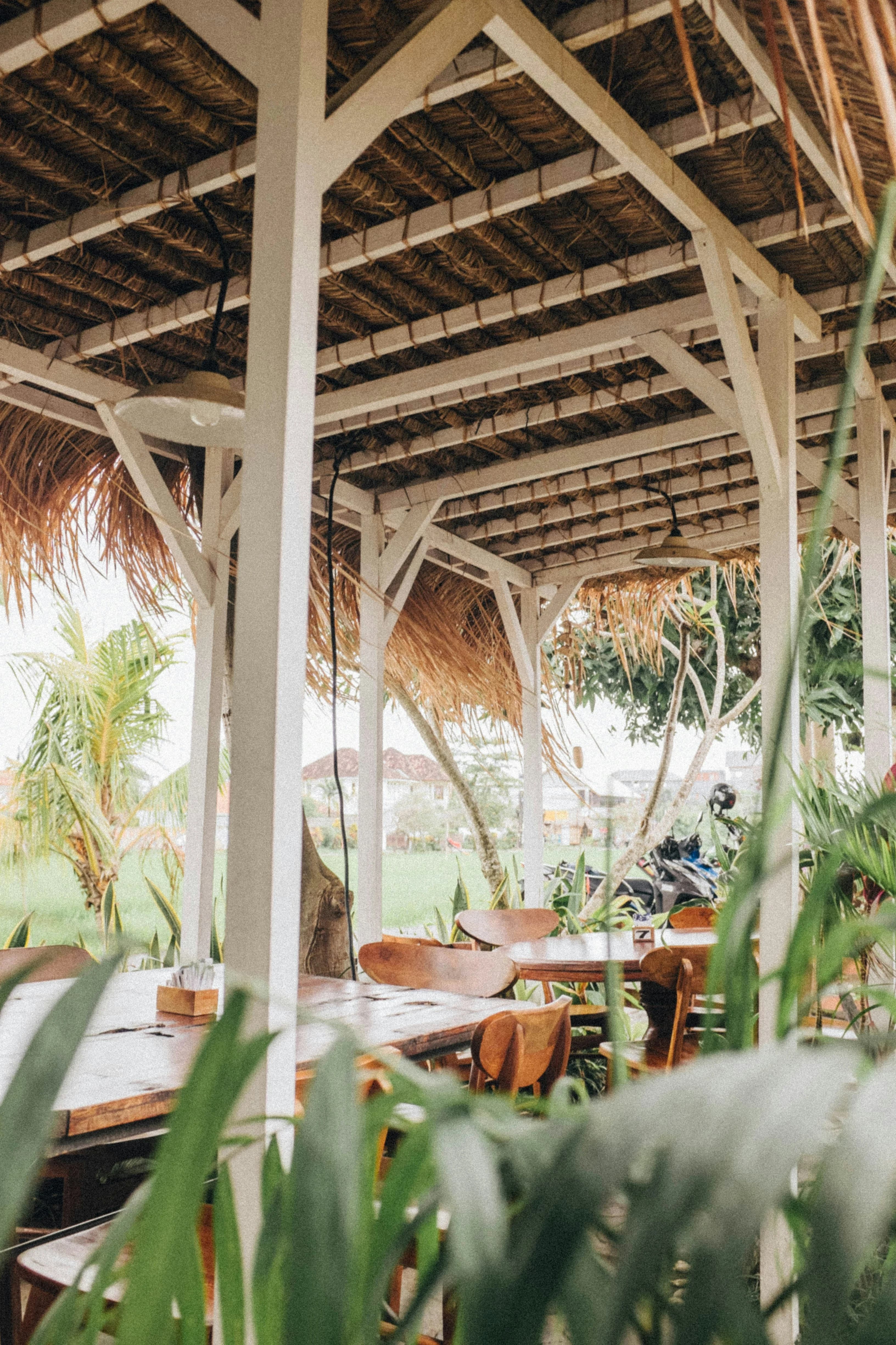 Organic Café