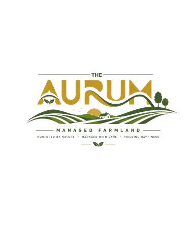 The Aurum